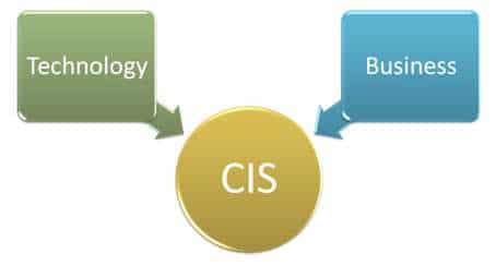 CIS combines Technology and Business