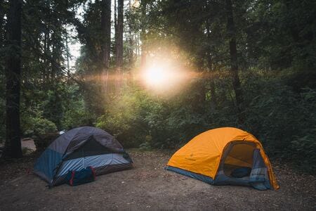 Camping tents in forest