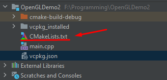 vcpkg_installed folder in project