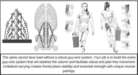 Photo by The PTDC - guy wire system of the spine