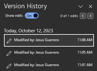 Screenshot of Microsoft Word