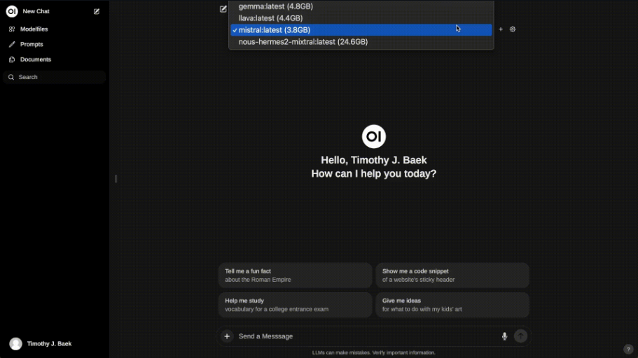 Open Web UI interface
