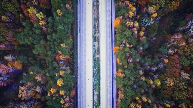 Photo by Daniel McCullough