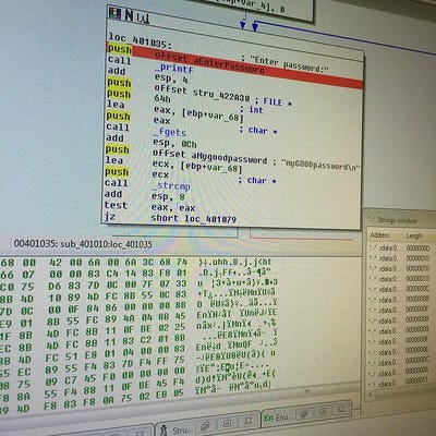 Photo by Matt Dunlop